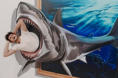 Portimao: 3D Fun Art Museum Entry Ticket