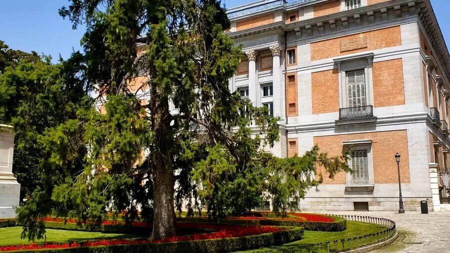 PRADO MUSEUM HIGHLIGHTS PRIVATE TOUR - What the $341 Price Really Buys