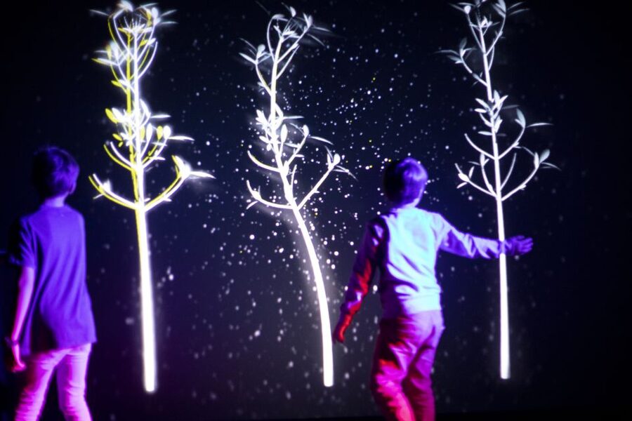 Prague: Ticket to Audiovisual Light Art at Lumia Gallery - Digital sand and the Photo Beast