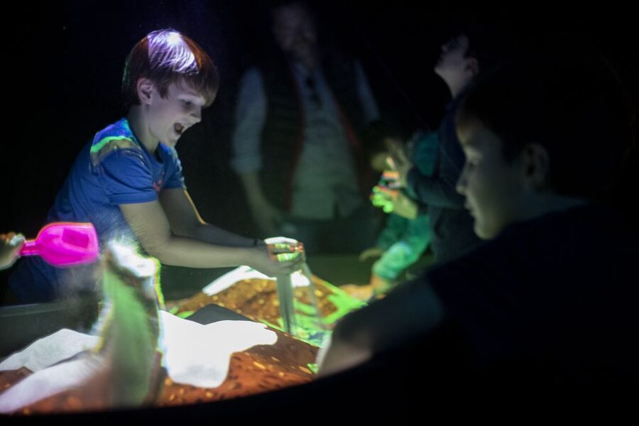 Prague: Ticket to Audiovisual Light Art at Lumia Gallery - The first rooms: light, motion, and visual surprises
