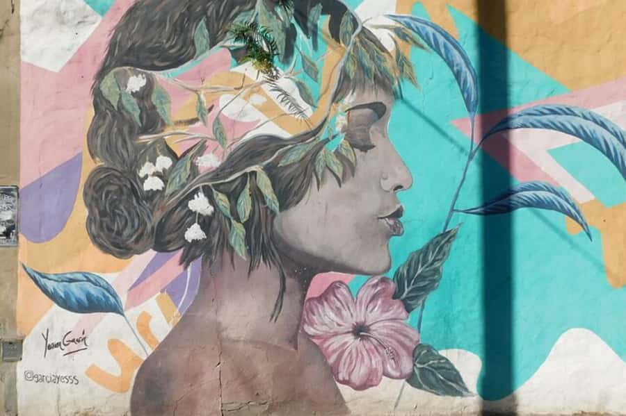 Premium Argentinian Wine and Malbec Tasting & Urban Art Tour - The one-hour Palermo walk