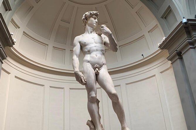 Private Tour of Michelangelo's David Academia Gallery - Why David deserves a focused visit