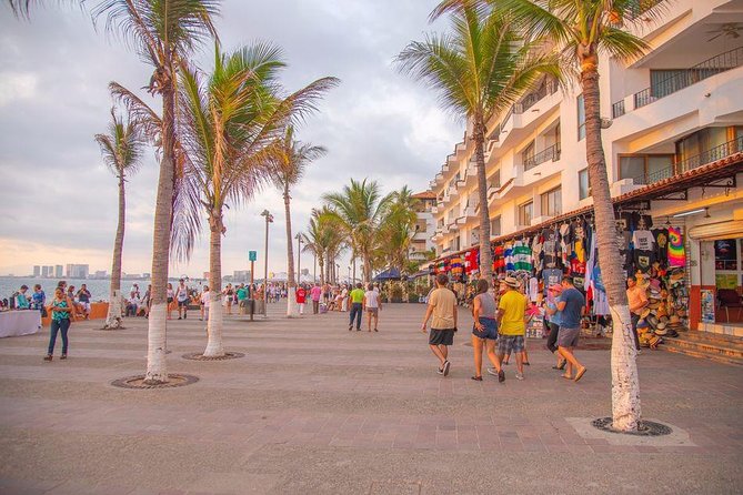 Puerto Vallarta Private Art Tour - Who Will Enjoy This Experience Most