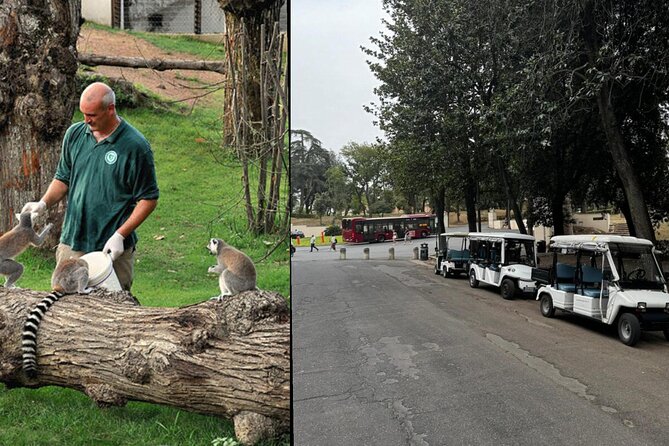 Rome: Entrance ticket Zoo + Golf Cart tour of Villa Borghese - Key points to know before booking