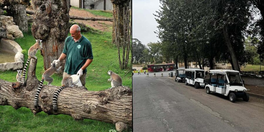 Rome: Zoo entry ticket + Villa Borghese Golf Cart Tour - What the short guided portion gives you