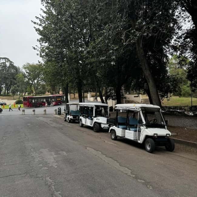 Rome: Zoo entry ticket + Villa Borghese Golf Cart Tour - Entering Bioparco without the ticket-office stop