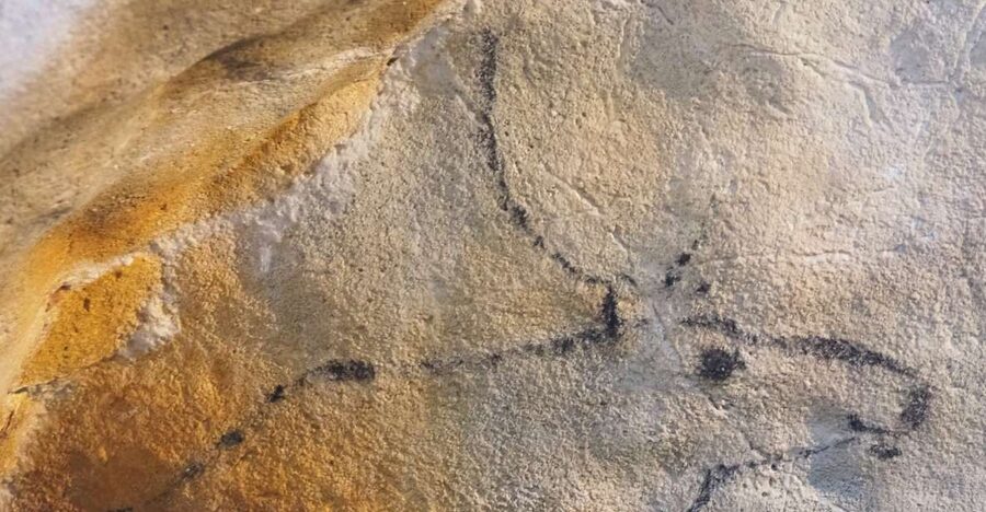 Santander: El Castillo Caves & Paleolithic Art Tour - Why these caves are worth the trip from Santander