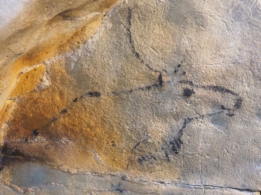 Santander: El Castillo Caves & Paleolithic Art Tour - Puente Viesgo and the Pas River