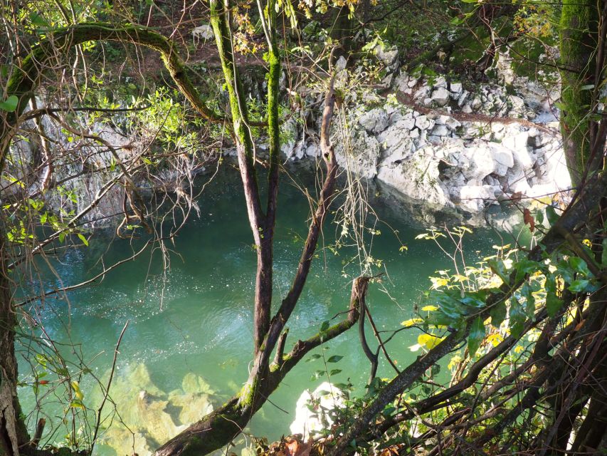Santander: El Castillo Caves & Paleolithic Art Tour - How much value do you get for $130?