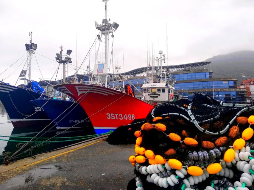 Santoña: Anchovy Art Gallery with Fishing Port and Market - Why the Guide Matters Here