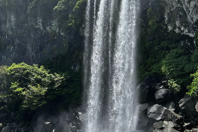 Seogwipo(the southern city of Jeju) Art Museum Walking Tour - Key points to know before you book