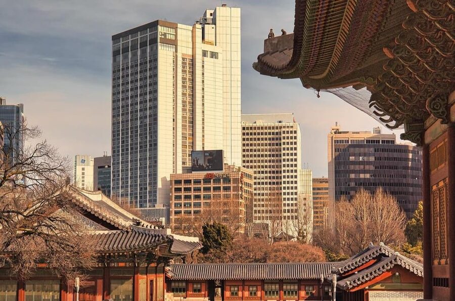 Seoul : Le Space Art Museum, Hanok, Inner Zoo (+Nanta Show) - What the guides add to the day