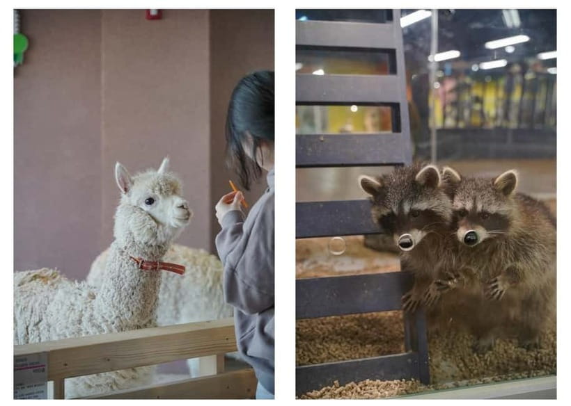 Seoul : Le Space Art Museum, Hanok, Inner Zoo (+Nanta Show) - Zoorarium and its small animal encounters