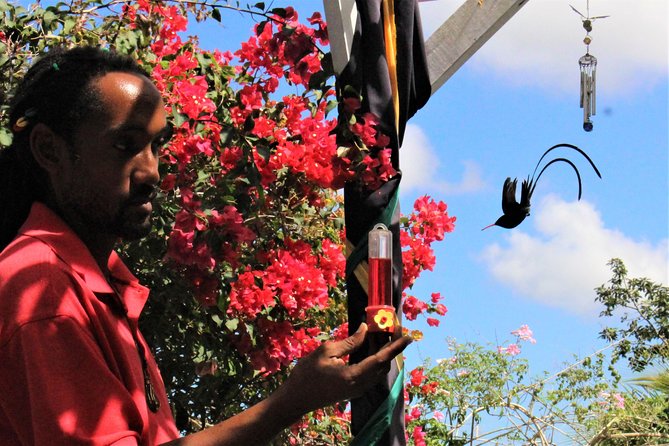 Skip the Line: Ahhh Ras Natango Gallery and Garden Admission Tickets - Pickup from Montego Bay and timing