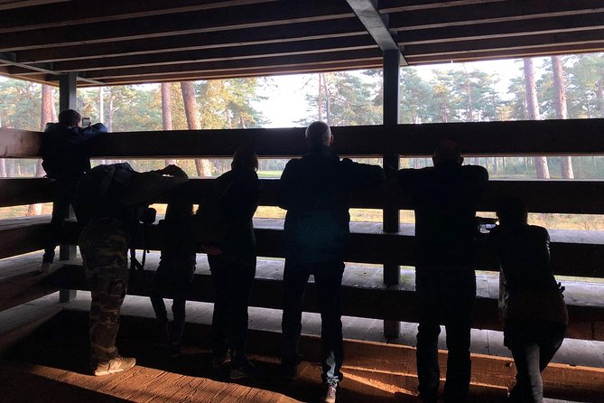 Small Group Tour to NP Hoge Veluwe (van Gogh) from Amsterdam - Jachthuis Sint Hubertus for architecture lovers