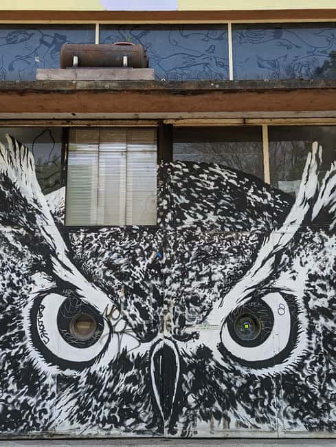 Strasbourg : Street-Art Tour - A useful first or final activity in Strasbourg