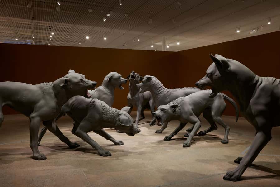 Sydney Summer Art Exhibitions Art Gallery of New South Wales - Who will enjoy this most?