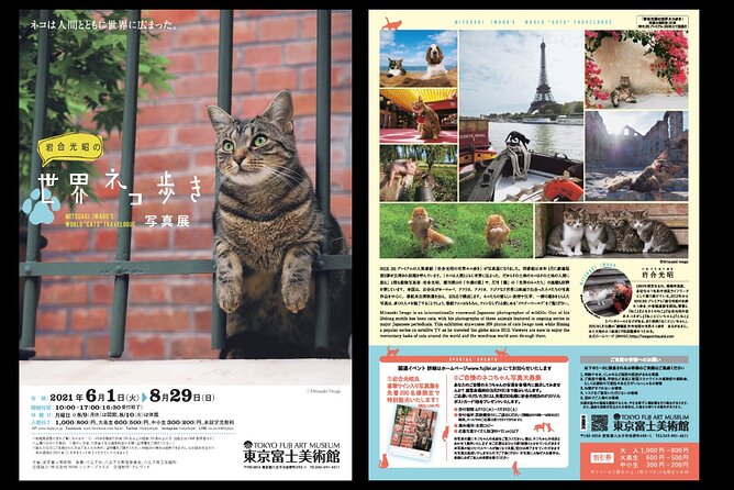 Tokyo Fuji Art Museum Admission Ticket + Special Exhibition (when being held) - What to expect during your two to three hours inside