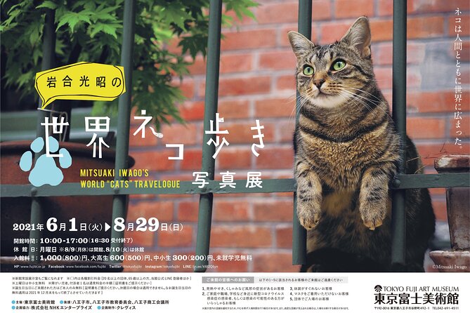 Tokyo Fuji Art Museum Admission Ticket + Special Exhibition (when being held) - The admission process is easy, but keep your reservation details handy