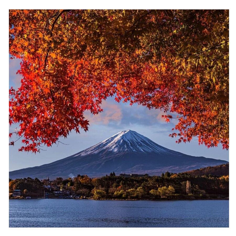 Tokyo: Mt Fuji Prado Private Tour By English-Speaking Driver - Chureito Pagoda and Arakurayama Sengen Park