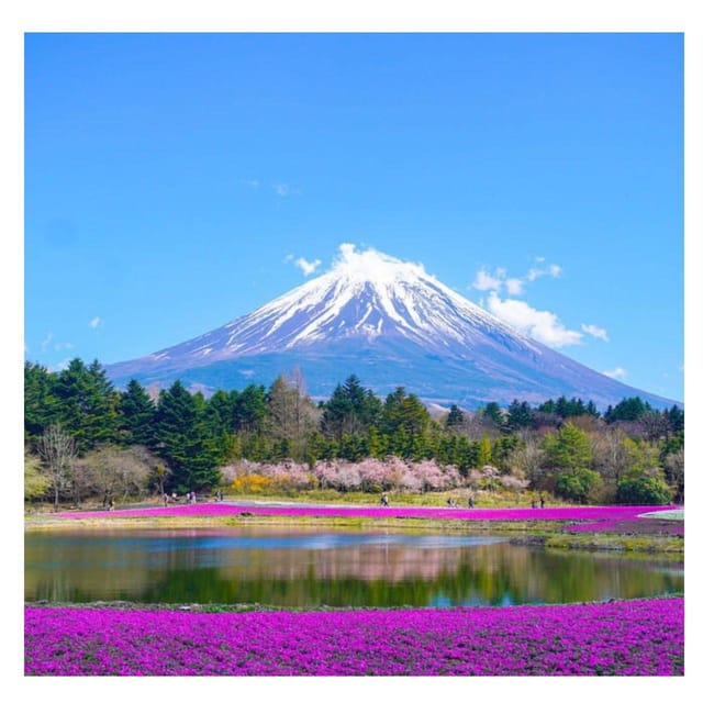 Tokyo: Mt Fuji Prado Private Tour By English-Speaking Driver - Fuji Sengen Shrine adds a quieter cultural stop