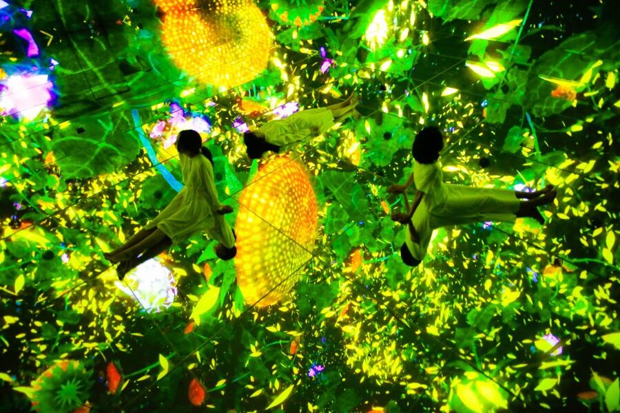 Tokyo: teamLab Planets TOKYO Digital Art Museum Entry Ticket - Five senses, not just a wall of projections