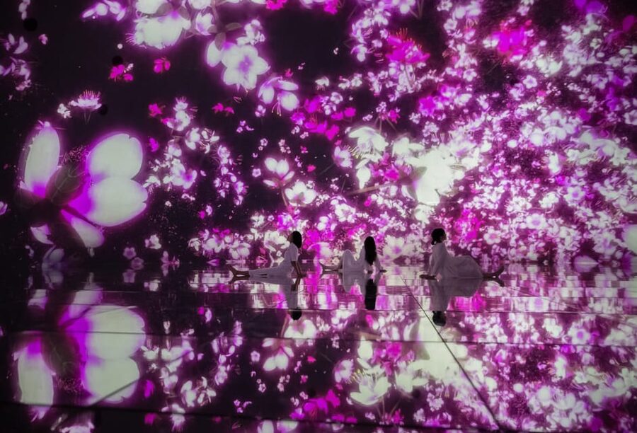 Tokyo: teamLab Planets TOKYO Digital Art Museum Entry Ticket - Crowds, atmosphere, and the best time to enter