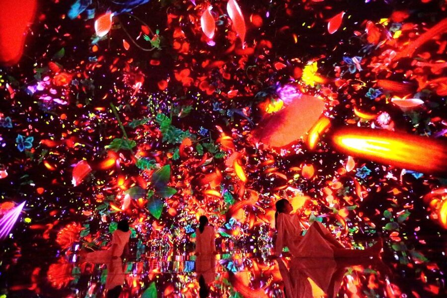 Tokyo: teamLab Planets TOKYO Digital Art Museum Entry Ticket - Is $25 good value for Tokyo?