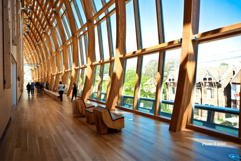 Toronto: Art Gallery of Ontario General Admission Ticket - Indigenous and Canadian art deserve your best attention