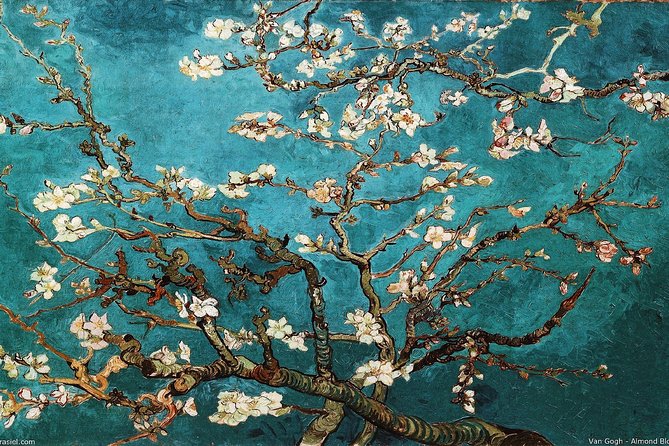Van Gogh Museum Amsterdam Exclusive Tour w/ Reserved Entry - Moving into the brighter French period