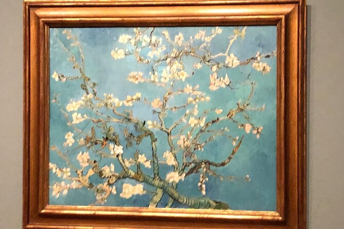 Van Gogh Museum, Rijks Museum & Walking Tour - Private Day Tour - Why a private guide changes the day