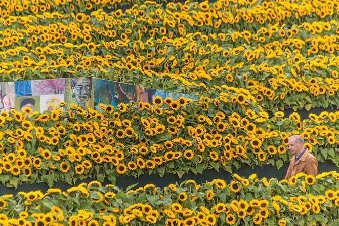 Van Gogh Museum Skip the Queue with Audio Guide - How much time you need inside