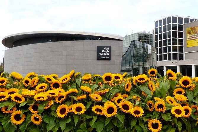 Van Gogh Museum Ticket with Audio Guide and Unlimited Access Time - Crowds, comfort, and the useful practical details