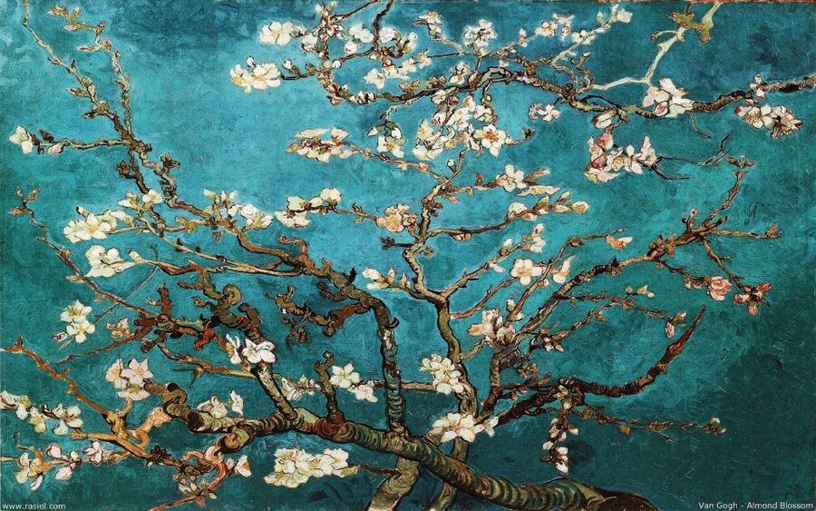 Van Gogh & Rijksmuseum Masterpieces Guided Tour 8 guests 5h - Who should book this tour?