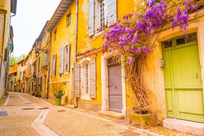 Van Gogh's Provence & Les-Baux-de-Provence - Afternoon Tour - Who should book this Provence tour?