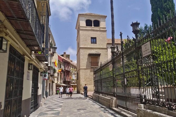 Visit the Picasso Museum with an Accredited Guide - Meeting Picasso in Malaga’s Buenavista Palace