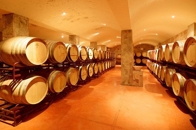 Wine Tasting and Art Tour - Starting at 2:30 pm in Estômbar